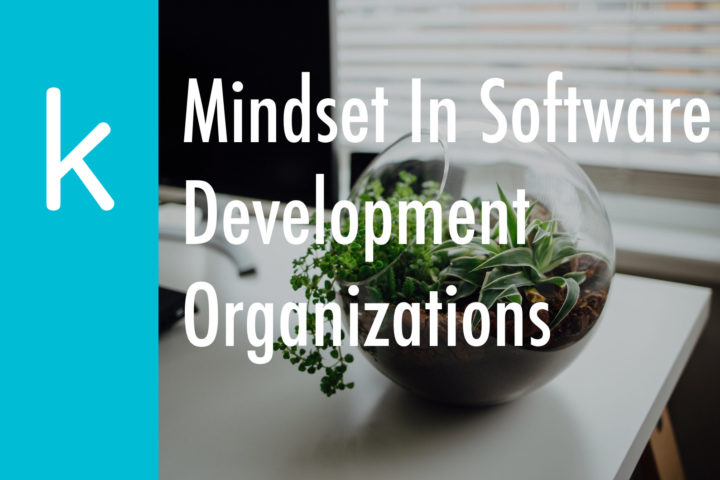 Mindset In Software Development Organizations